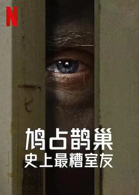 《史上最糟糕的室友》：室友变“室魔”！爆笑之下细思极恐，年度最佳喜剧惊悚片？